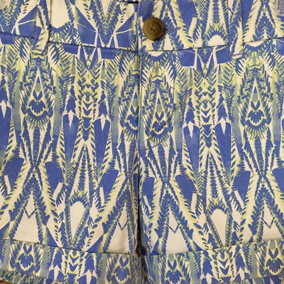 American Eagle Shorts - Picture 2 of 4